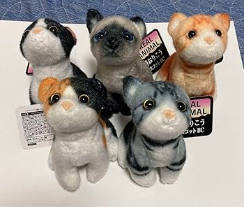 Amazon.co.jp: REAL ANIMAL 猫おりこうマスコットBC 全5種類